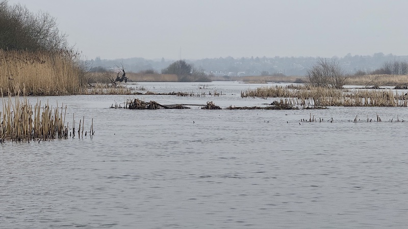 250222 stevnstrup low water