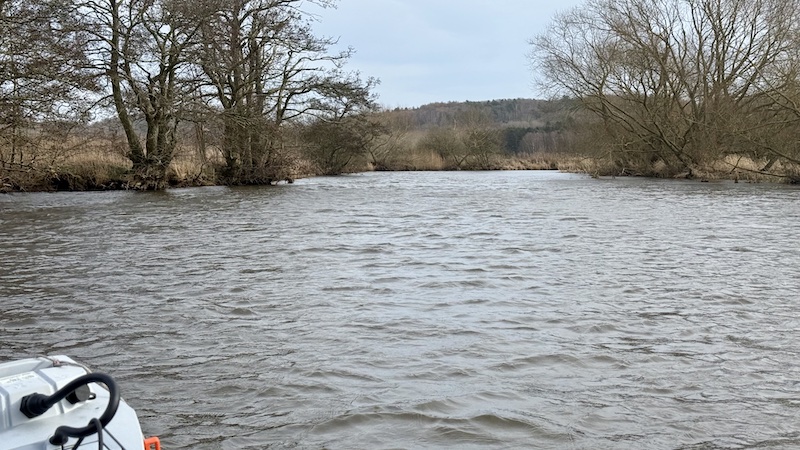 250305 gudenaa stevnstrup greenlander sving