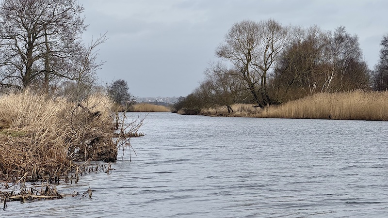 250305 gudenaa stevnstrup randers background