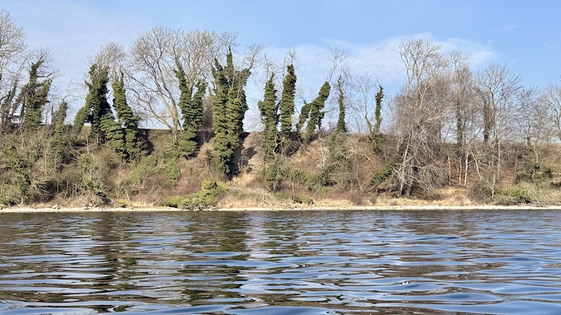 Mariager Fjord øst for Stines Minde 250307 mariager stinesminde bredden