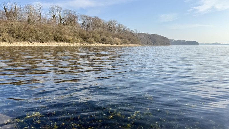 Mariager Fjord øst for Stines Minde 250307 mariager stinesminde fiskepladsen