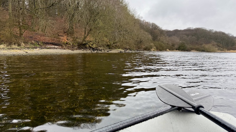 250311 Mariager Hobro skoven