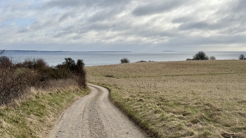 250316 esby nedkorsel