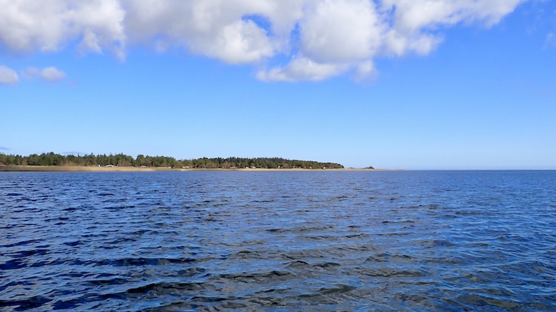 Randers fJord ved Udbyhøj 250331 randers fjord fjordmunding