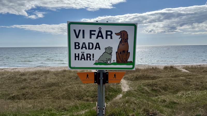 250408 ystad badning