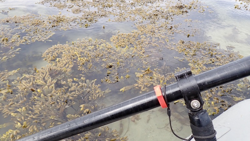 250415 fjellerup blaeretag