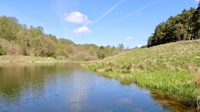 250426 mill spring lake