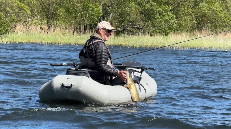 250513 tange henrik leth gedde