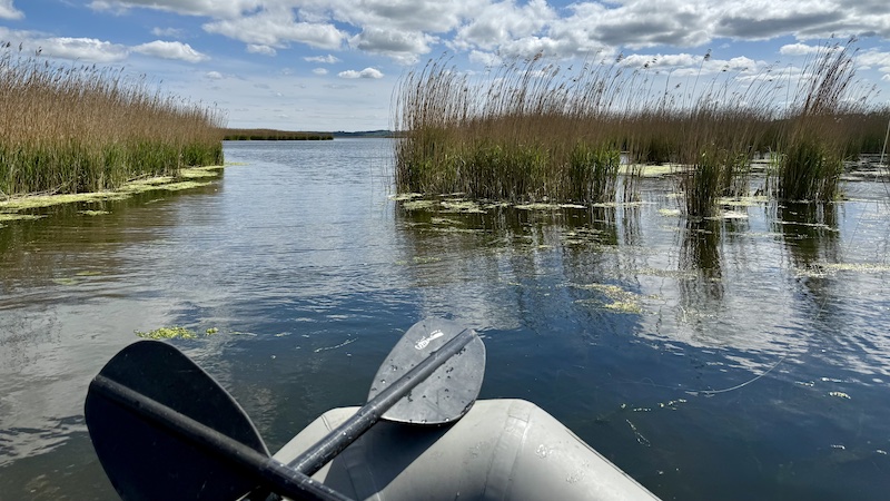 250518 bredningen bredningen east