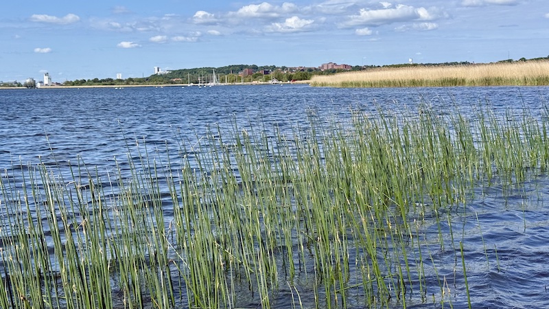 250518 bredningen siv randers