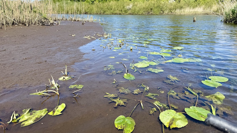 250520 gudenaaen low water