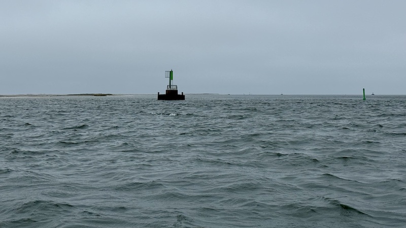 Randers Fjord 250525 udbyhog fjordmunding