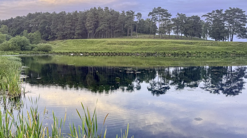 Aftenstemning ved søen 250615 milldam lake