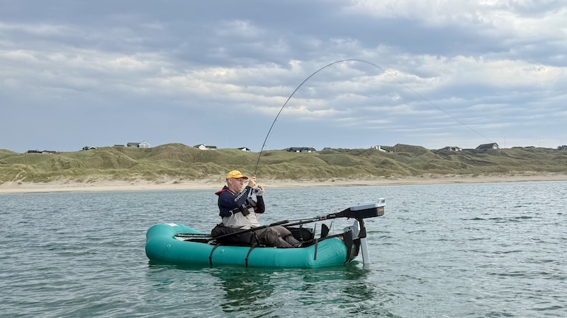 250814 hirsthals kaare fighting 