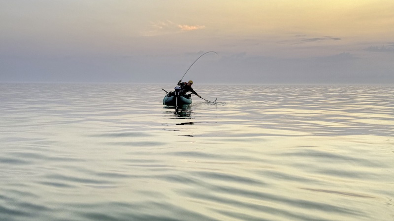 250814 hirsthals kaare makrel