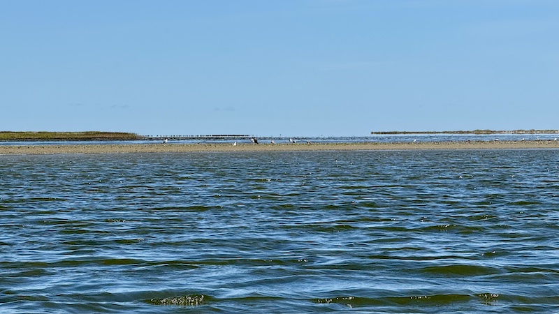 250817 randers fjord vadehav