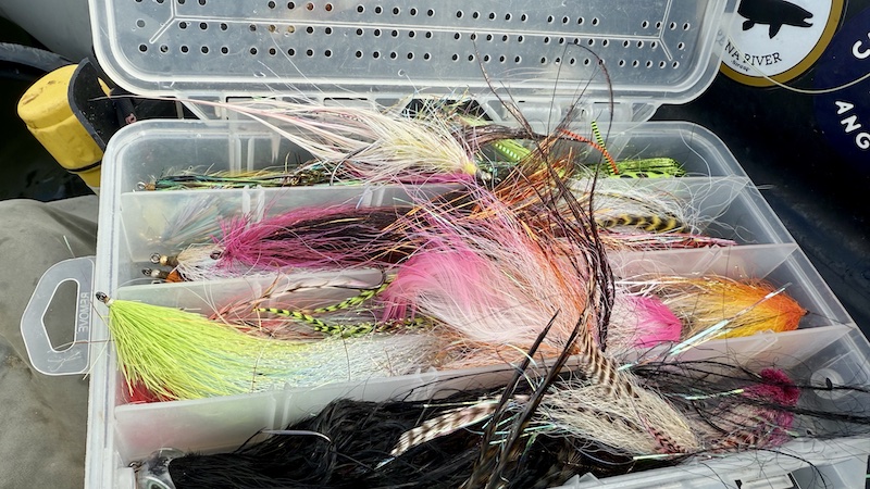 250914 tange geddefluer