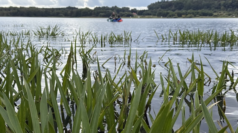 250914 tange martin jacob