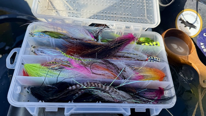 251012 tange fall flies