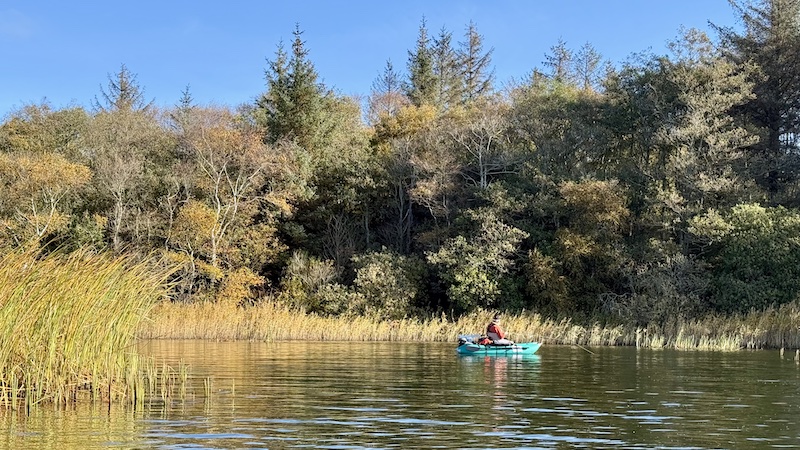 251012 tange fall mong