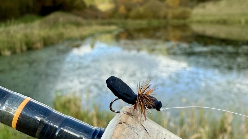 251014 lake ant imitiation 