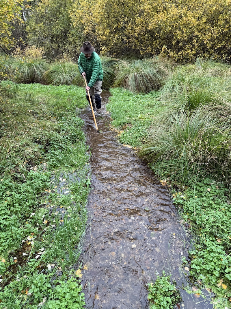 251014 lake spawning preperation