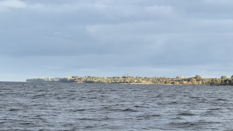 Køgebugt ved Stevns 251016 stevns skoven