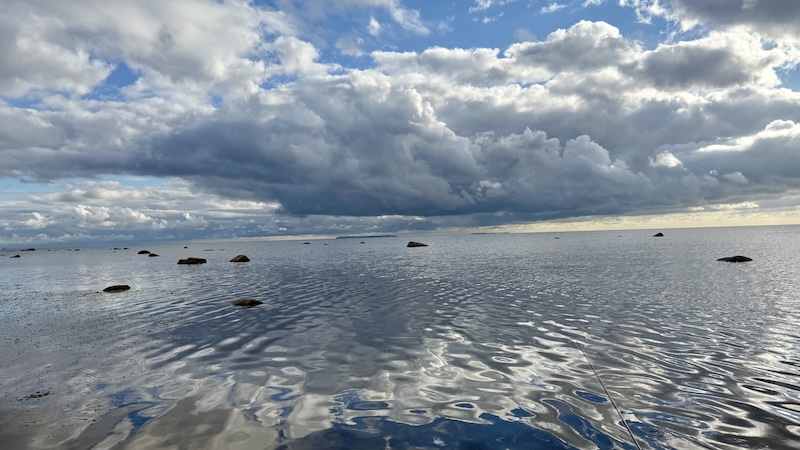 Møn 251017 lund moen