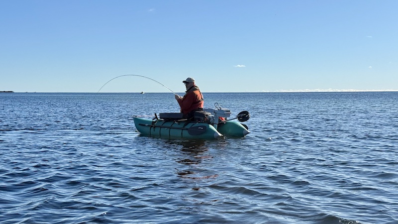 251018 stevns lund mong