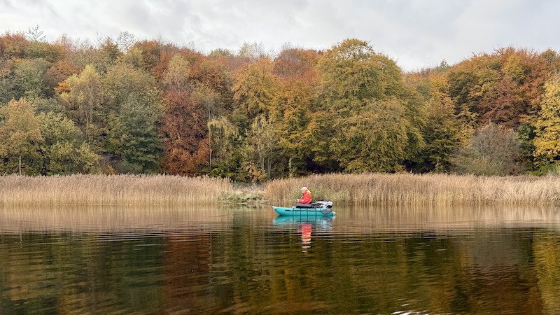 251029 mariager mong fisker