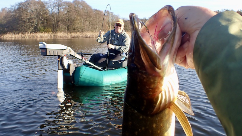 251106 tange gedde kaare