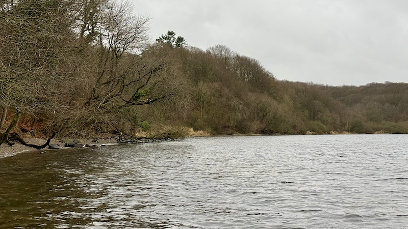 251214 mariager hobro bugten 