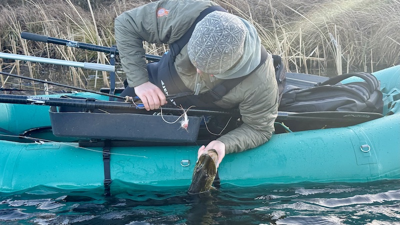 251227 gudenaa tange kaare