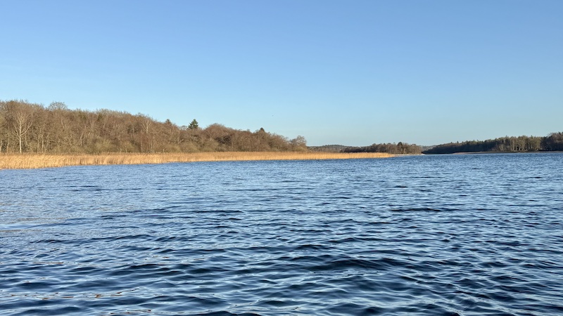 Gudenåen ved Ans 251227 gudenaa tange