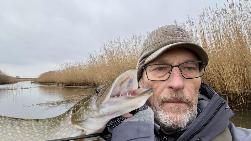 260116 gudenaa randers gedde