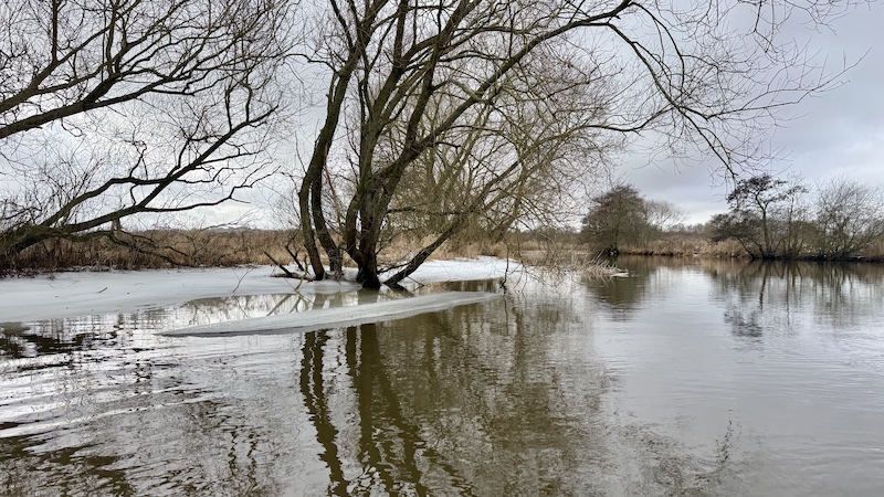 260223 gudenaa stevnstrup is