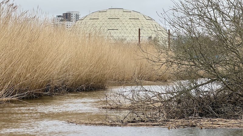 260227 gudenaa randers regnskov