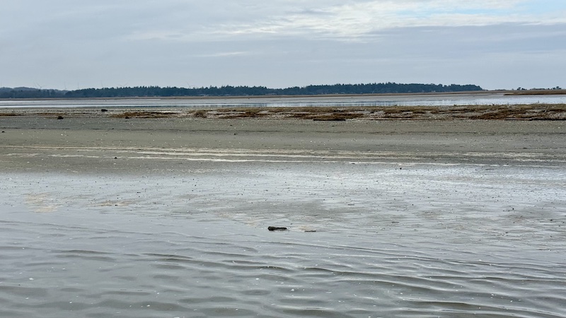 260302 udbyhoj vadehav