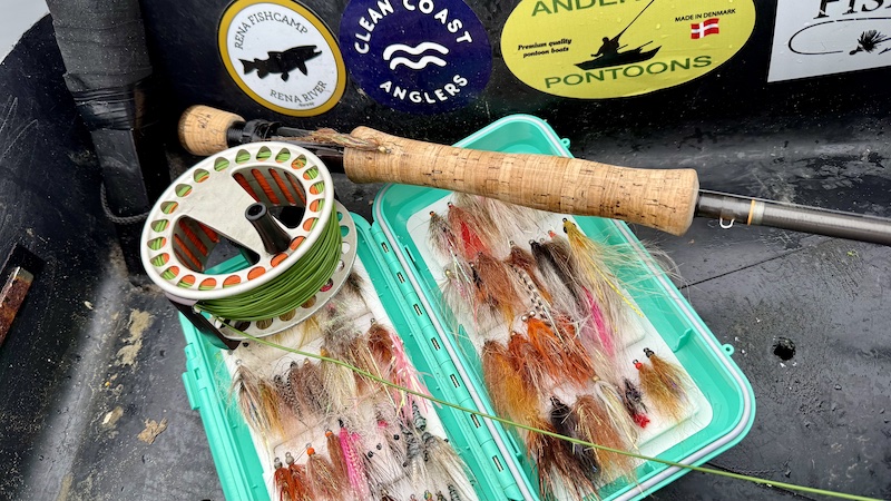 260308 mariager cloud fluer