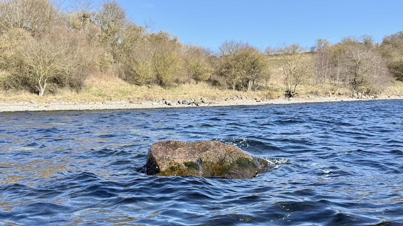 260327 mariagerfjord sten