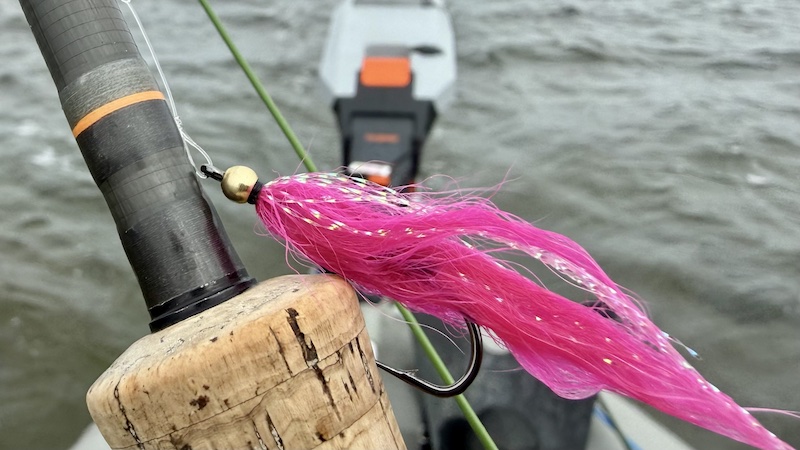 260401 randers fjord pinky