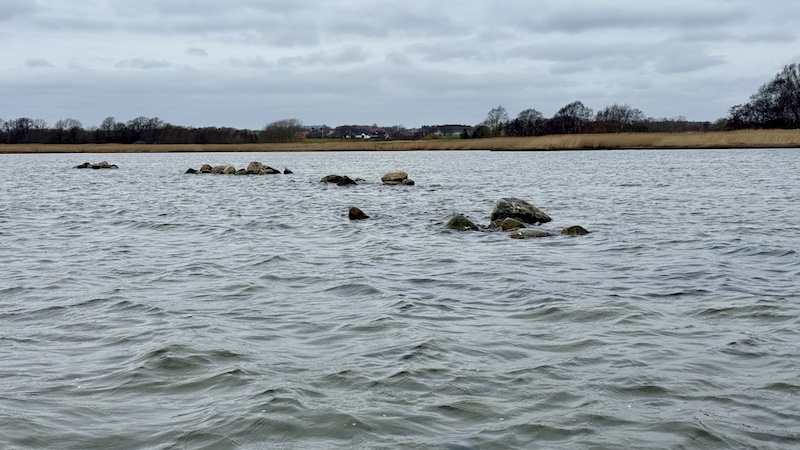 260401 randers fjord stenrev otorring