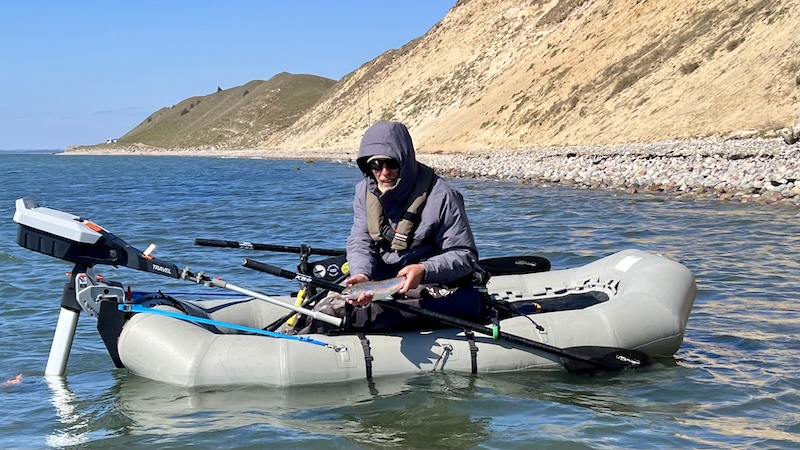 260411 ystad henrik trout