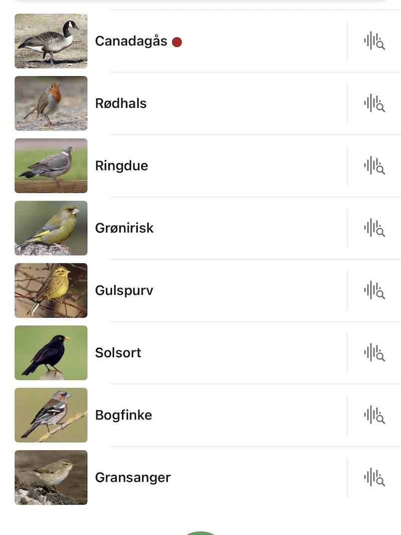 Et udpluk af fugle ved søen 260415 milldam birds