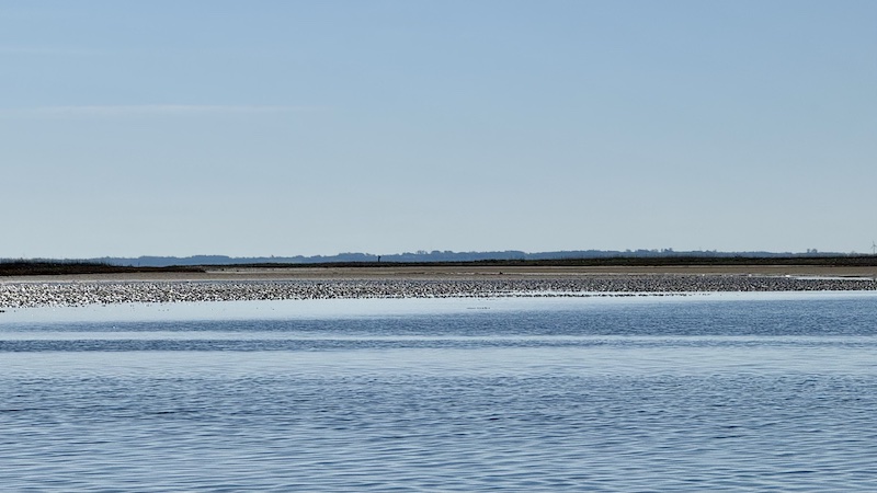 Randers Fjord 260422 udbyhoj lavt vand