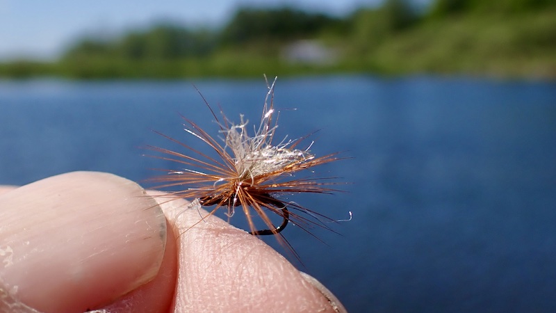 260527 lake dryfly