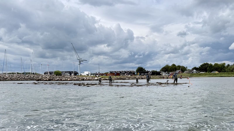 260612 randers fjord skolerev