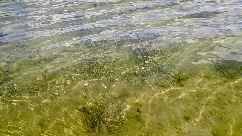 260618 glenstrup svanehul