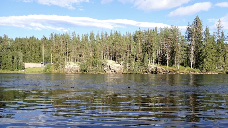 Området nedstrøms Rødbro 260709 rena ned redbridge