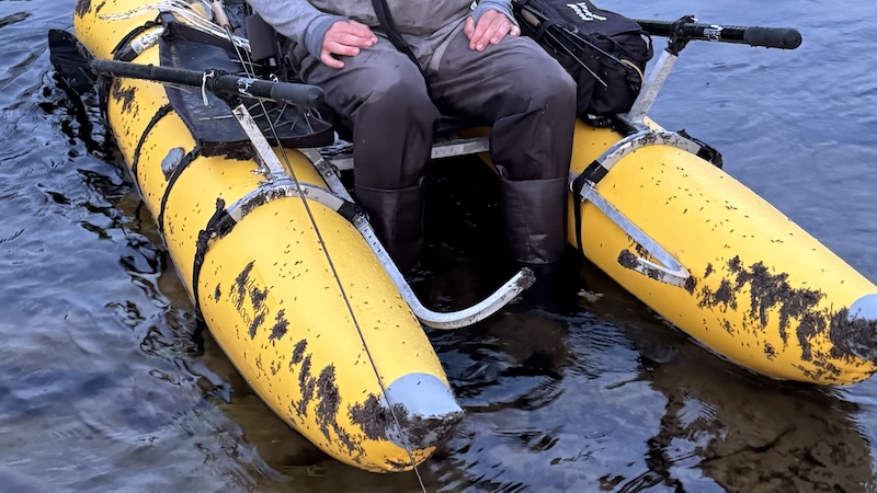 Vårfluer på pontonerne 260710 rena boat sedges